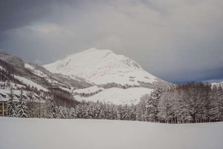 Splendid scenery in winter. Fantastic frosty morning in forest. snow-cowered pine trees under...