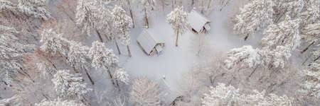 Aerial view of a winter snow-covered pine forest. Aerial drone view of a winter landscape. Snow covered forest BANNER, LONG FORMATの写真素材