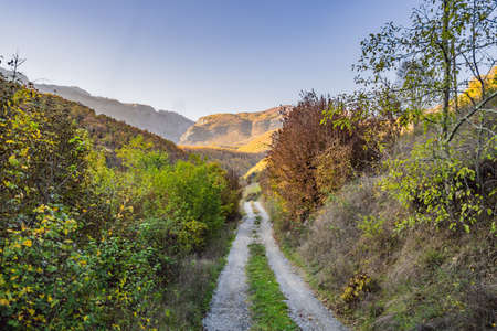 Beautiful autumn view of yellow trees, road and mountains, Montenegro