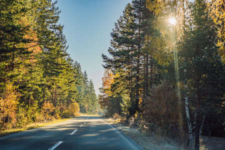 Beautiful autumn view of yellow trees, road and mountains, Montenegroの写真素材
