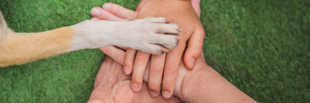 Human hands and dog paw as a team. Fight for animal rights, help animals BANNER, LONG FORMAT