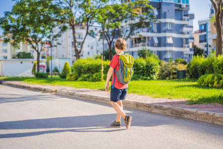 Little boy with a backpack go to school. Back viewの写真素材