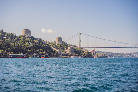 Turkey, Istanbul, houses below Fatih Sultan Mehmet Bridge on Bosphorus Straitの写真素材