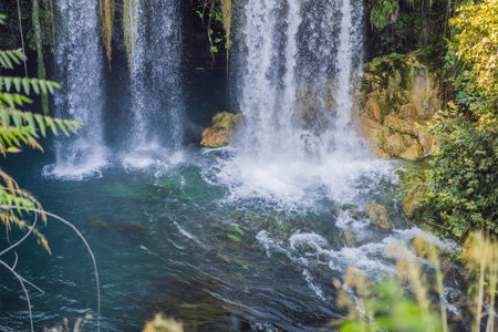 Upper Duden Waterfall is called as Alexander Falls. The paradise like hinterland of the waterfall is...