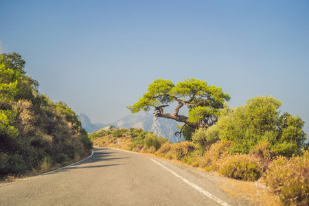 The Stunning Ancient Theater of Termessos Ancient City. turkiye, GO Everywhereの写真素材