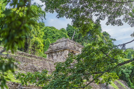 The ancient pyramids of Palenque in Mexico, surrounded by lush jungle. Iconic archaeological site showcasing Mayan culture and history. Travel, history, and adventure conceptの写真素材