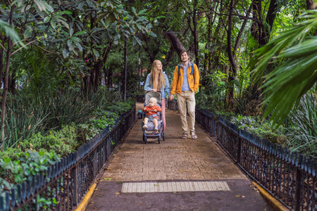A married couple and their son in a stroller exploring lush streets of Condesa, Mexico City. Family...