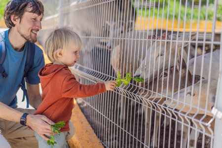 Father and his son feeding deer on a farm, enjoying family bonding, animal interaction, and outdoor activity. Wholesome childhood and learning conceptの写真素材