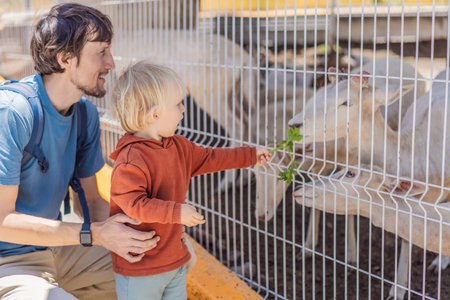 Father and his son feeding deer on a farm, enjoying family bonding, animal interaction, and outdoor activity. Wholesome childhood and learning conceptの写真素材