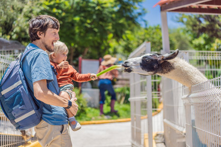 Father and son feeding a llama, enjoying family bonding, animal interaction, and outdoor activity. Wholesome childhood and learning conceptの写真素材