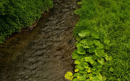 A small river among grass and reeds in the early morning. Beautiful landscape of the river. River turn flowing in a field among damp grass.の写真素材