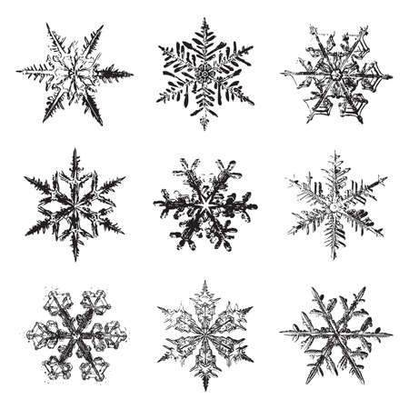 Vintage Snowflakes Vector Set of 9のイラスト素材