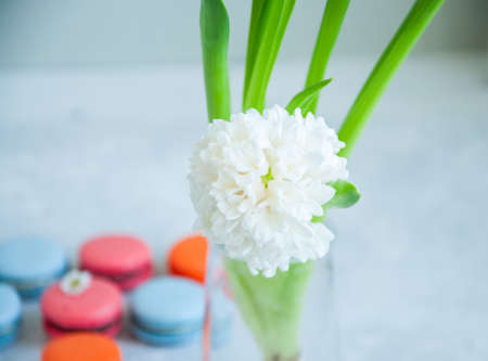 White hyacinth flower and colorful macarons on a stone background. Close up.の写真素材