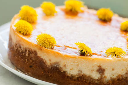 Close up of freshly baked new york styled cheesecake with dandelion honey garnished with flowersの写真素材