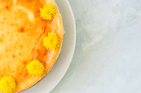 Close up of freshly baked new york styled cheesecake with dandelion honey garnished with flowers....