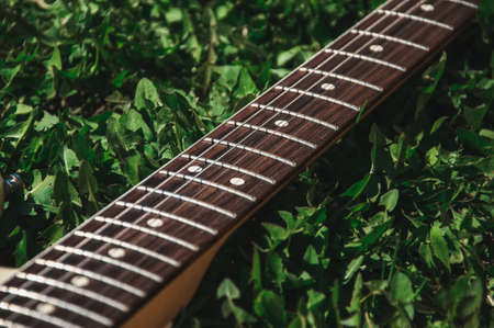 Close up of wooden fingerboard on a grass out of door at day. Toned.の写真素材