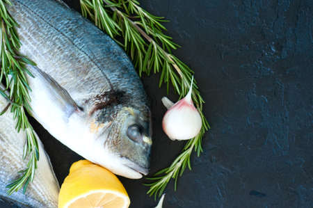 Fresh raw dorado fish with rosemary, garlic and lemon on a black slate background. Selective focus....