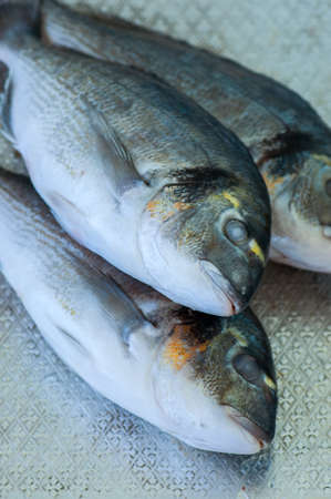 Fresh three raw dorado fish on a metal vintage tray. Selective focus. Overhead view.の写真素材