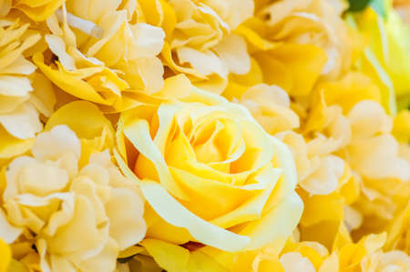 Yellow fake flowers background. Close up, texture. Toned.の写真素材