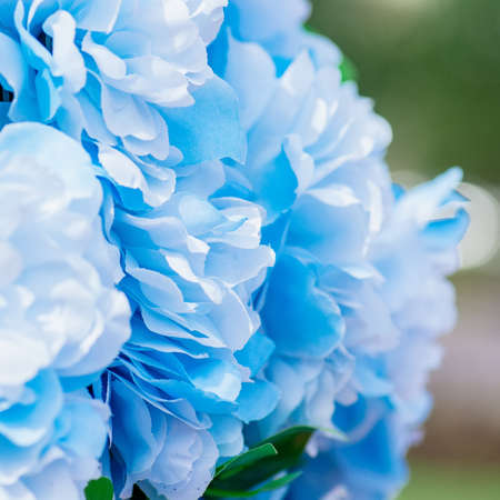 Blue fake flowers background. Close up, texture. Toned.の写真素材