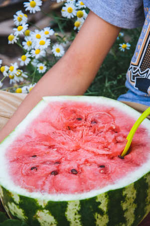 The boy eating ripe watermelon. Summer yard, camomile flowers, sunny day.の写真素材
