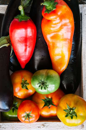 White box with vegetables on a rusty background. Aubergines, bell pepper, tomatoes.の写真素材