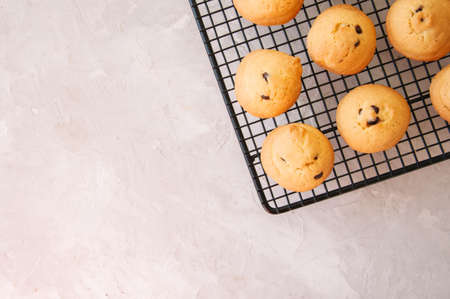 Homemade vanilla cookies with chocolate chips on a wire rack. White stone background.の写真素材