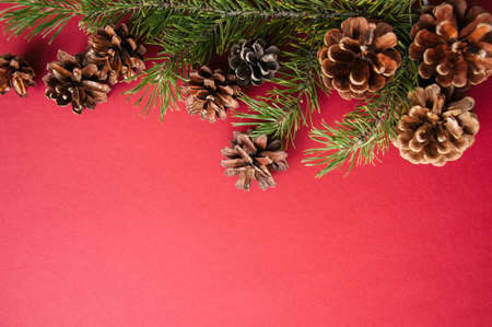 Fir tree cones and branches on a red background.