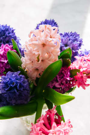 Bouquet of hyacinth flowers. Life style concept.の写真素材