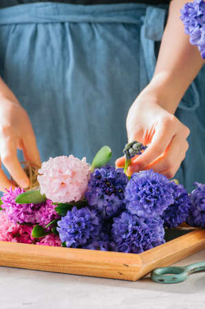Florist girl gathering bouquet of hyacinth flowers. Flower shop, gift concept.の写真素材