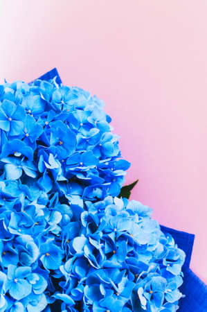 Beautiful bouquet Of Hydrangea on a pink background. Top view. Copy space.の写真素材