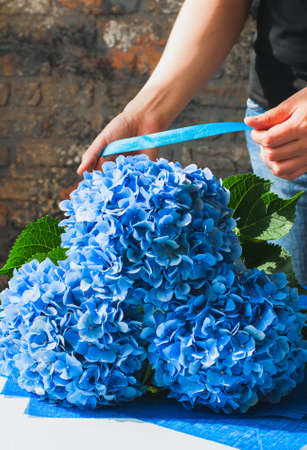Beautiful bouquet Of Hydrangea on table.の写真素材