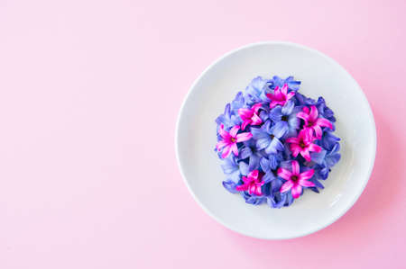Group of violet and magenta petals of hyacinth flower in a white plateの写真素材