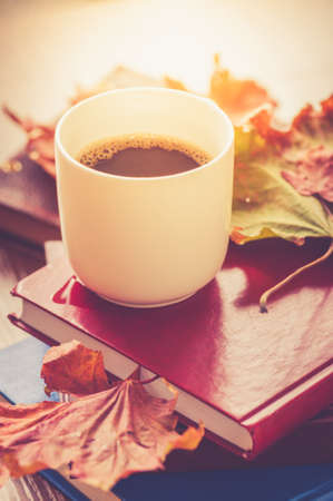 One cup of coffee and books with autumn maple leaves.の写真素材