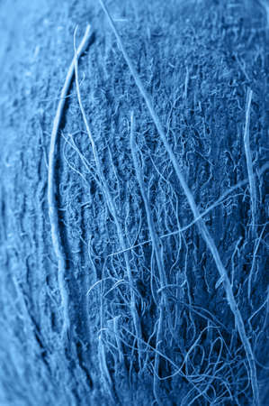 Coconut shell textured natural background. In blue color.