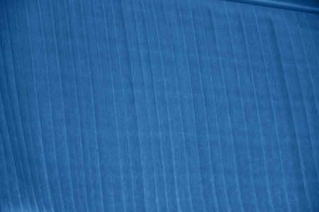 Close up of palm leaf. Toned in blue color of the year 2020.の写真素材