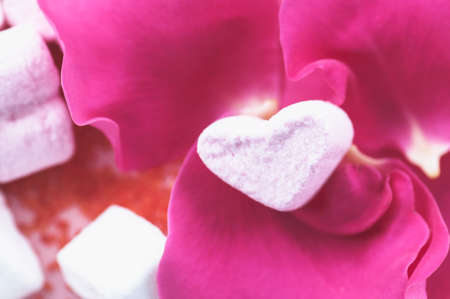 Tender rose petals and marshmallows. Top view.の写真素材