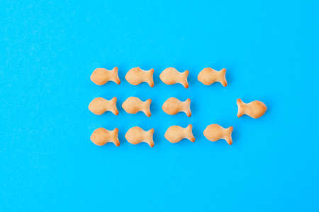 Crunchy fish crackers on a blue background.の写真素材