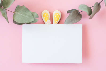 Easter background concept. Easter bunny ears under white empty paper on pink background.