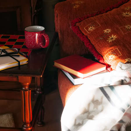 Stay home or book reading or self-isolation concept. Golden hour time. Cozy  home interior. Plaid...
