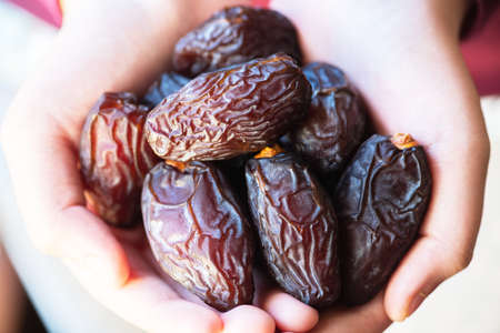 Dried date fruits in a hand. close up.の写真素材