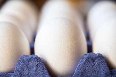 Whole white egg in a carton. Macro photography. Selective focus.の写真素材