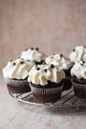 Rich chocolate cupcakes with whipped cream frosting and chocolate chips on a cooling rack. Close up.の写真素材