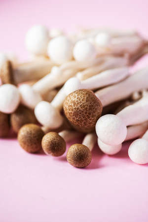 Fresh white and brown shimeji mushrooms. Close up, selective focus.の写真素材