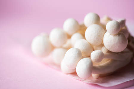 Fresh white shimeji mushrooms. Close up and copy space. pink background. selective focus.の写真素材