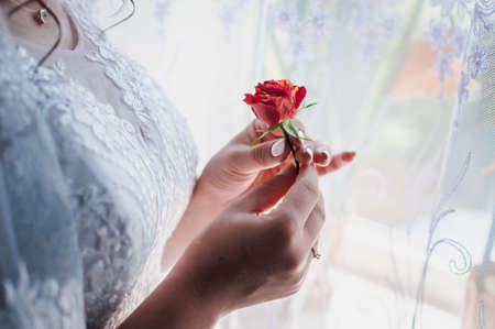 Red rose in the hands of the brideの写真素材