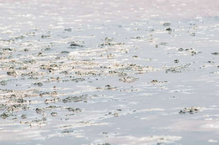 Pink salt lake with the mud
