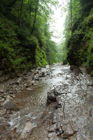 mountaine river with water rocks and trees aroundの写真素材