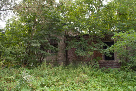 Abandoned chemaical laboratory in the treesの写真素材