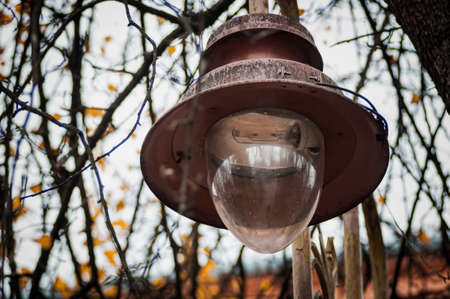Old lantern in autumn park